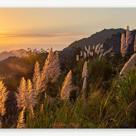 Cat Ba Island Garden Homestay - Papillon 外观 照片