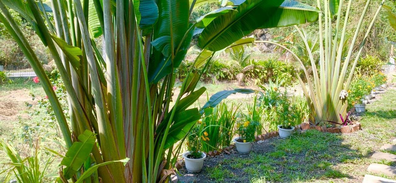 Cat Ba Island Garden Homestay - Papillon 外观 照片