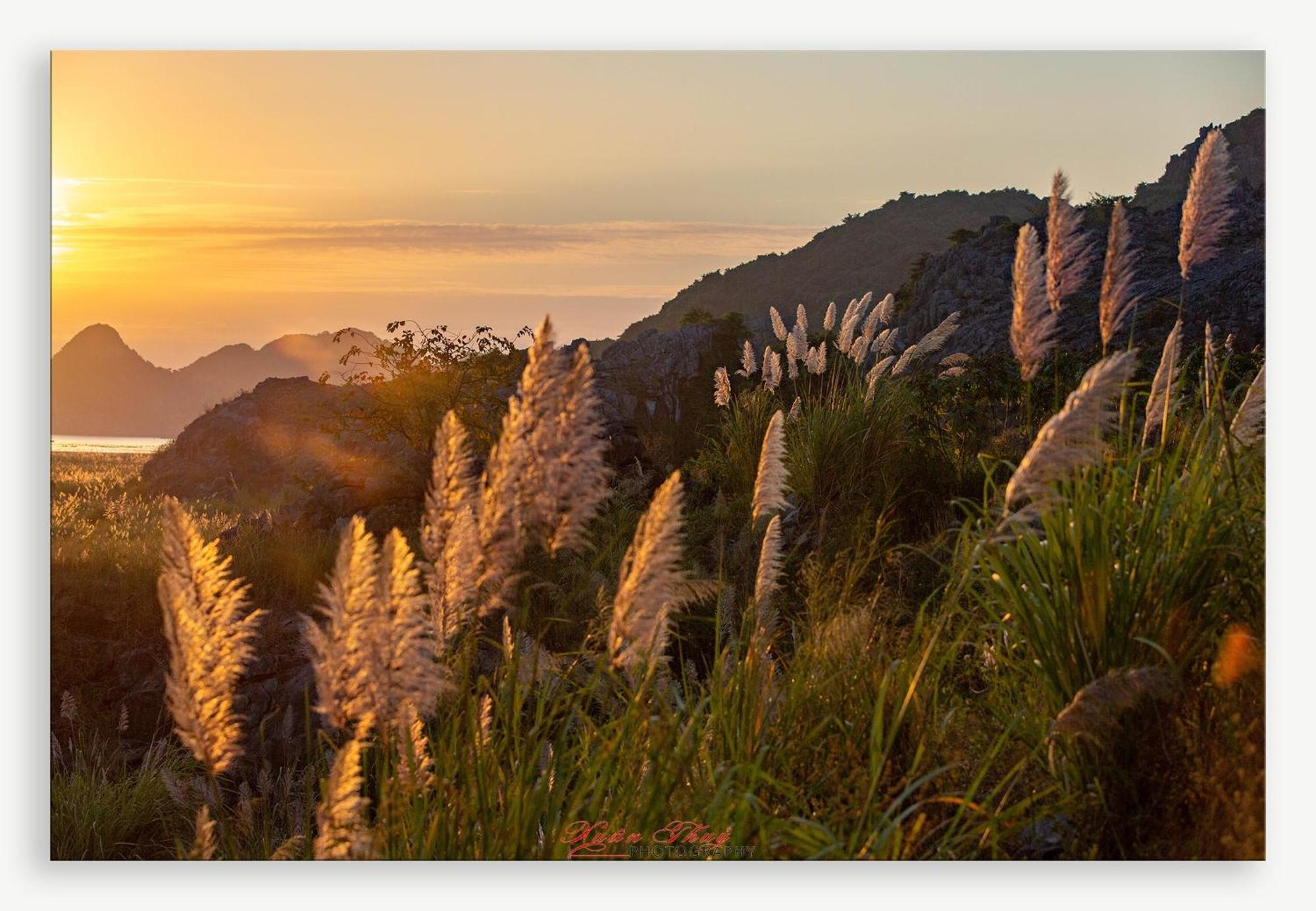 Cat Ba Island Garden Homestay - Papillon 外观 照片