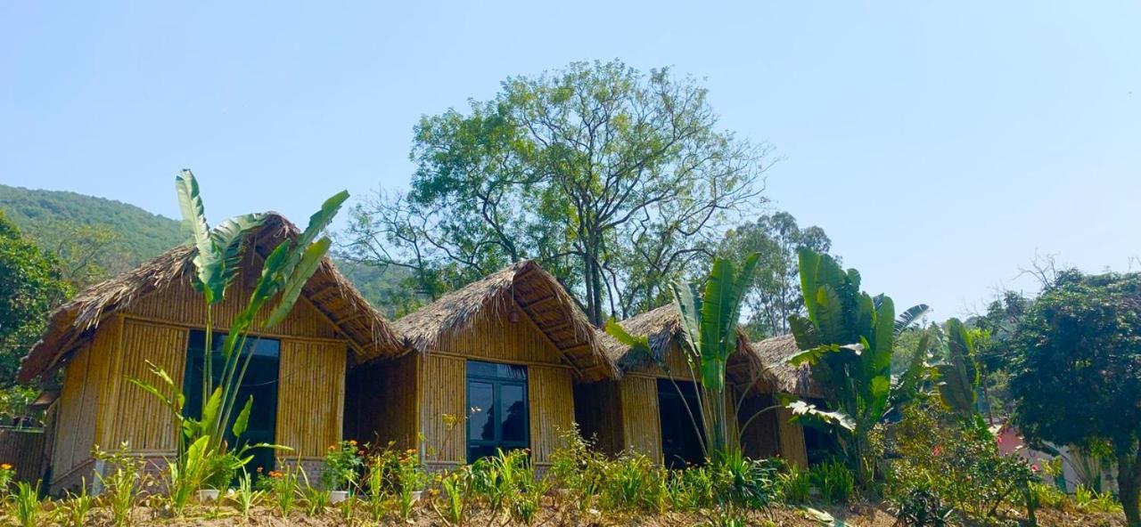 Cat Ba Island Garden Homestay - Papillon 外观 照片