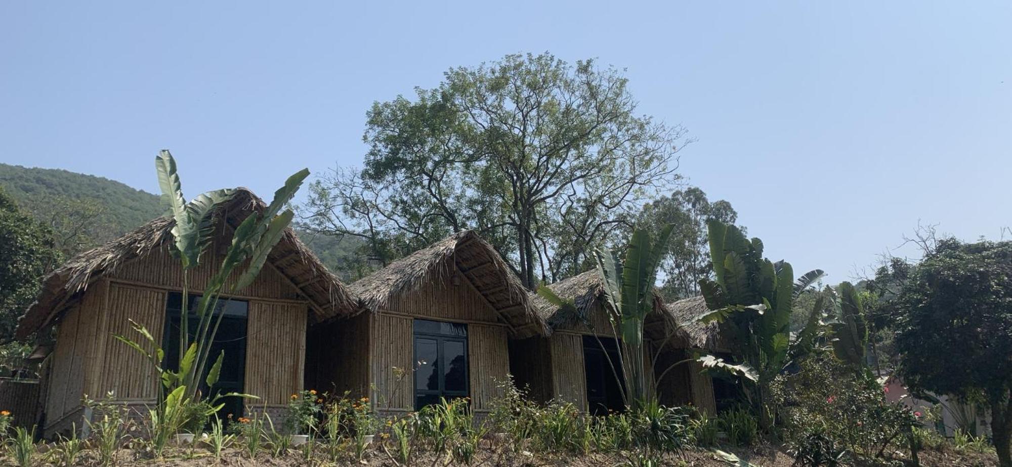 Cat Ba Island Garden Homestay - Papillon 外观 照片